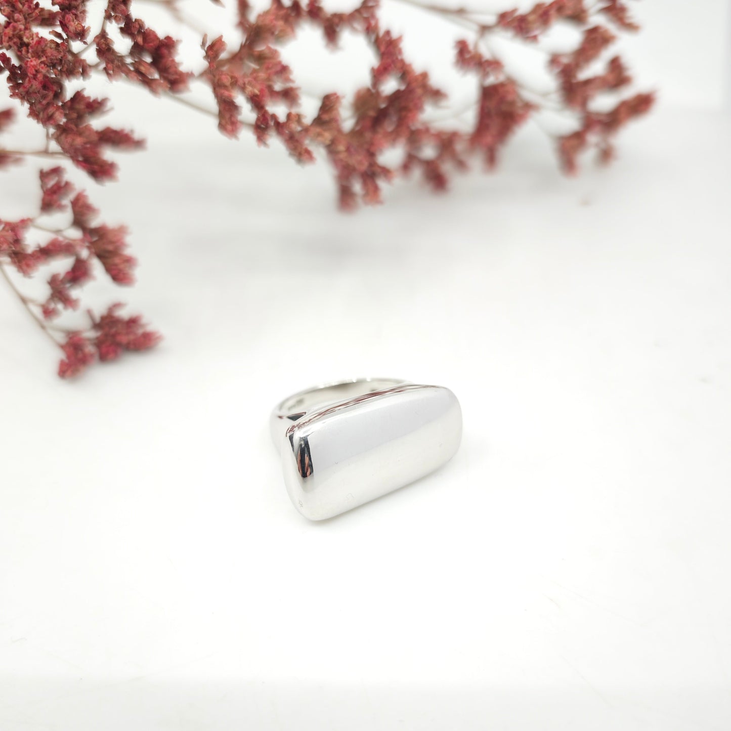Anillo Talaia
