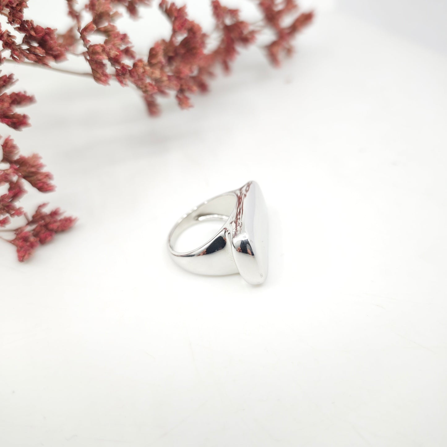 Anillo Talaia