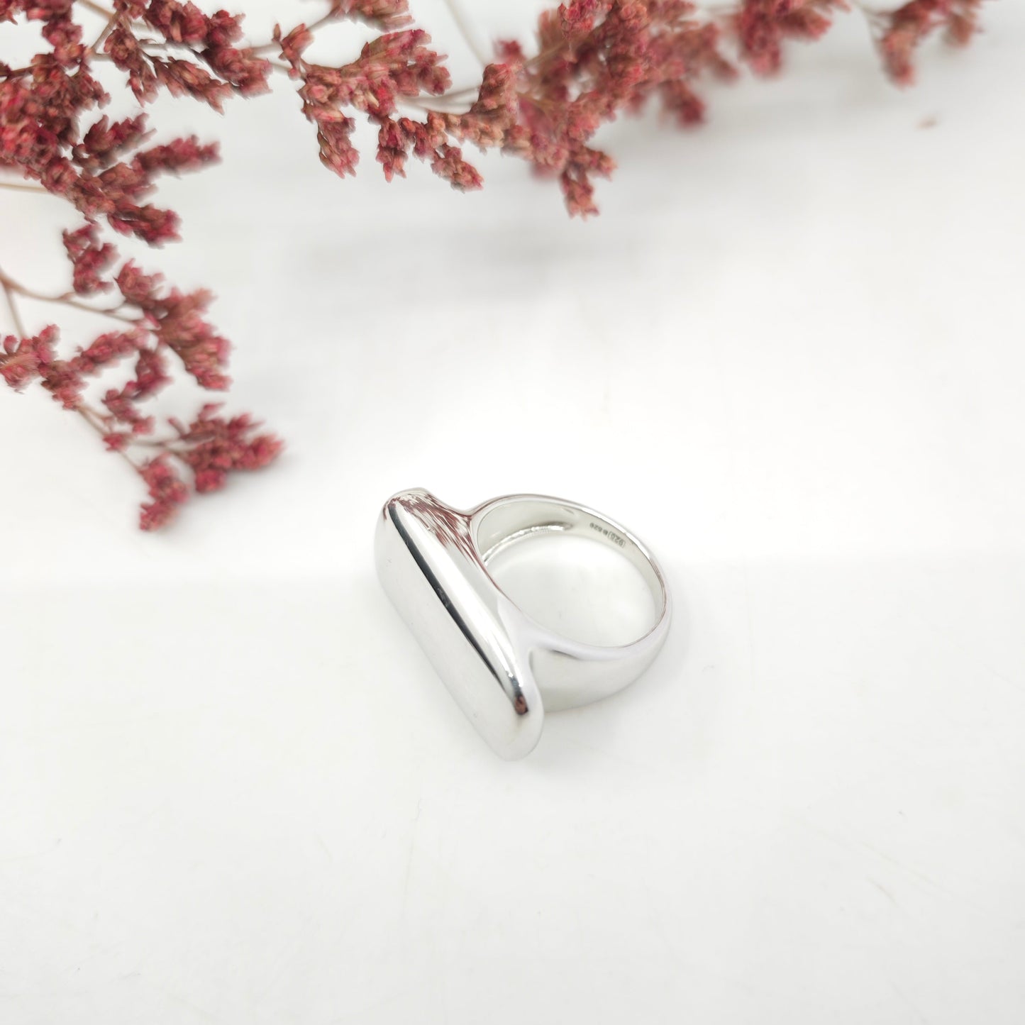 Anillo Talaia